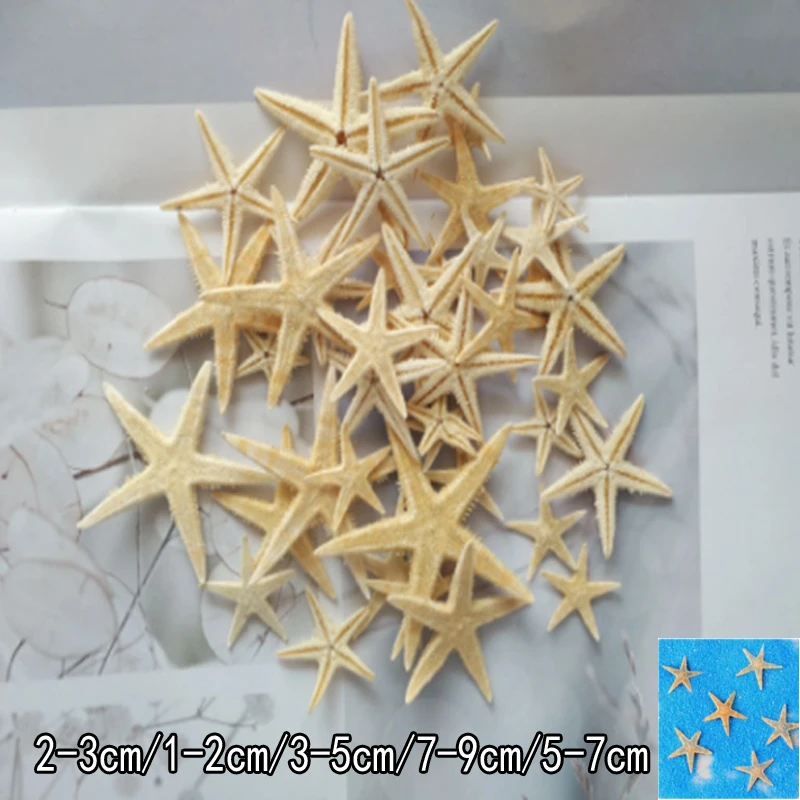 Горячая новинка натуральная морская звезда Морская ракушка Пляжное ремесло