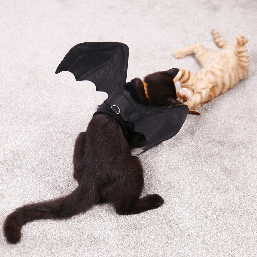 bc6e67f3-be64-407c-99eb-71af000ecaa6