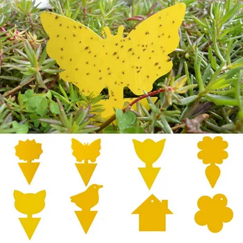 

Fungus Gnats Insect Dual Sided Catcher Plant For Aphids Strong Glue Non Toxic Sticky Traps Yellow Pest Control Garden Fruit Fly