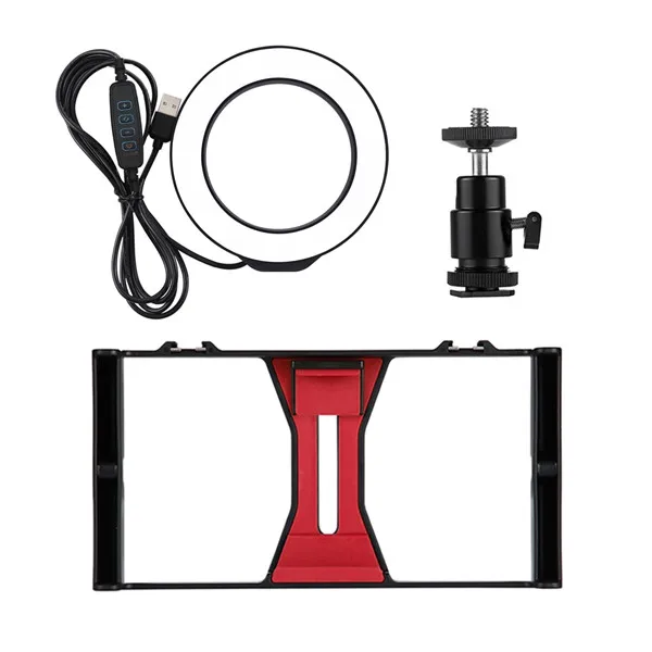 PULUZ Handheld Filmmaking Recording Vlogging Youtube Vlog Video Rig Case Stabilizer Film Steady Handle Grip Rig for Smartphones - Цвет: Red with Ring Light