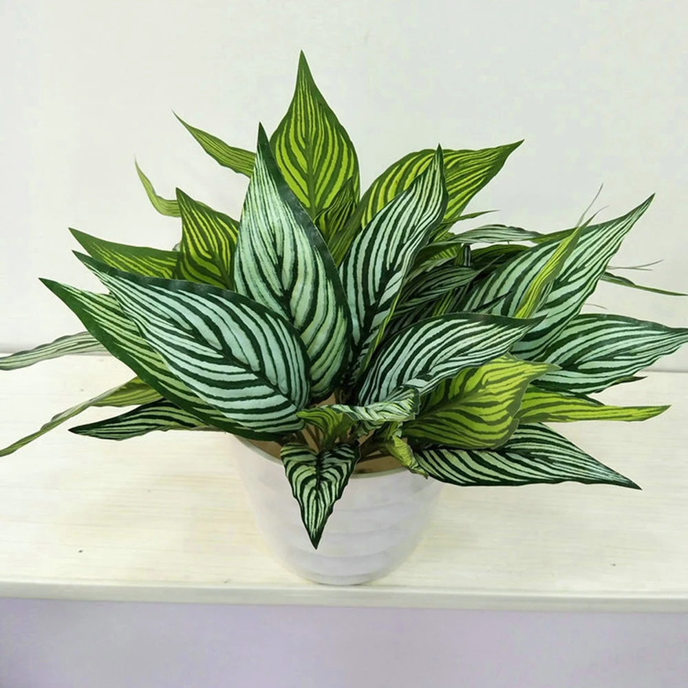 YYPA0080-1-YYPA0080-3-C3