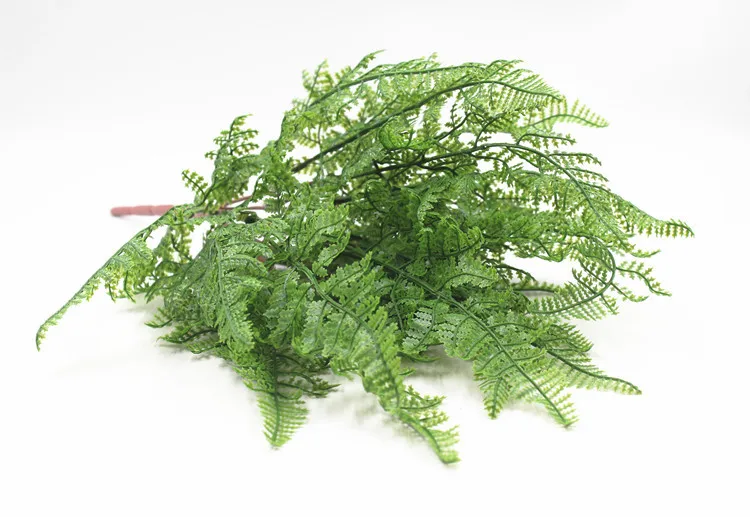 19叶软胶波斯叶