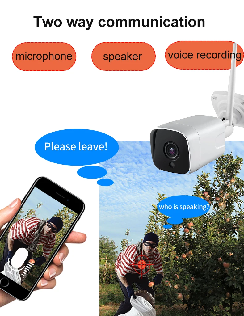 voice