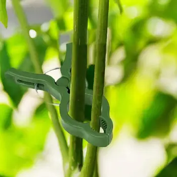 

Climbing Plant Support Trellis Stackable Plant Support Bracket Cage Household Chinese Rose Pot Holder