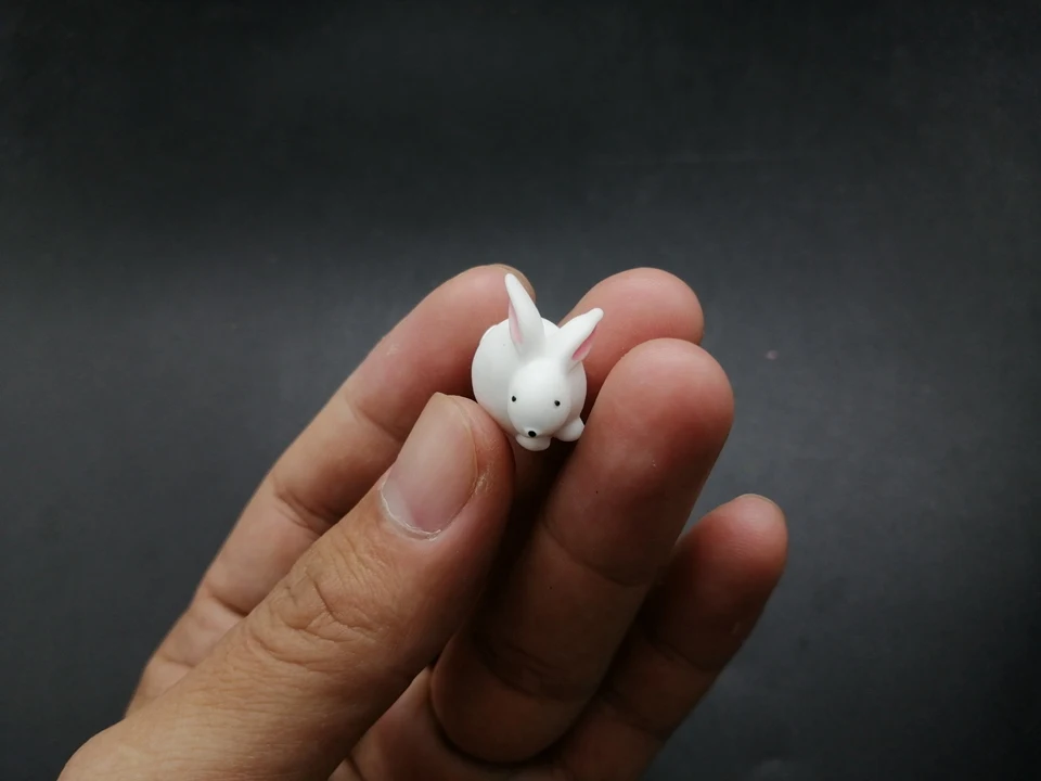 Tiny-A249 (4)