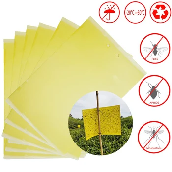

10/20x Trap Glue Stickers Two-Sided Fly Trap Small Insect Bug Pest Control Hang Catchers for Household Kitchen Protection