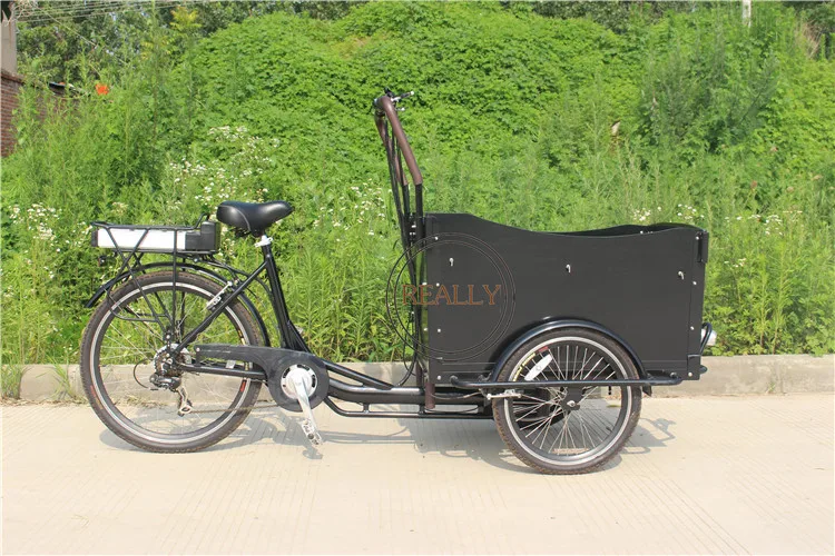 Bicicleta da Carga do Fazer Elétrica da Carga da Família Compras Bicicleta Elétrica Rl-t05a - 8 RL-T05A bicicleta da carga do fazer compras