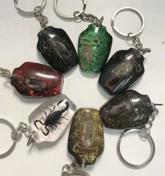 

10 pcs Scorpion Insect Color Vase KeyChain Taxidermy Display