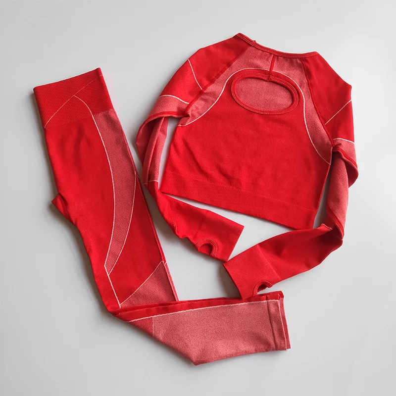 Бесшовный комплект из 2 предметов, женский спортивный костюм, комплект для занятий йогой, тренировочная одежда с длинным рукавом, укороченный топ для фитнеса, леггинсы с высокой талией, спортивная одежда - Цвет: red set