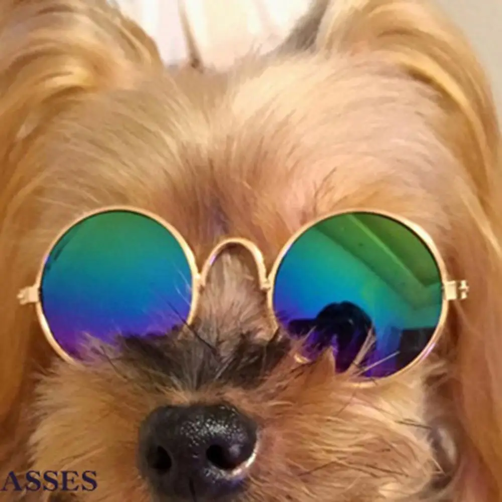 Кошачий глаз-Одежда Pet Солнцезащитные очки маленькие собачьи очки кошачьи очки фото реквизит собака кошка одеваются аксессуары для животных принадлежности - Цвет: green coating