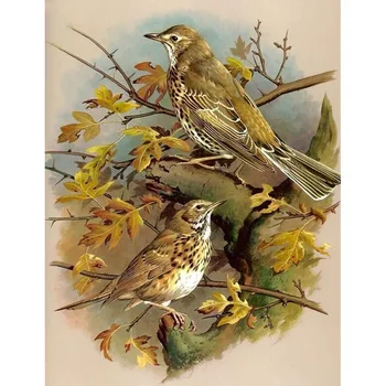 

5D DIY Branches Bird Crafts Diamond Embroidery Painting By Number Cross Stitch Needlework Diamond Mosaic Kit Square Home Decor