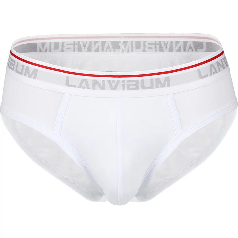 Lanvibum Man Cotton Underwear трусы мужские Ropa Interior Hombre Underpants Heren Ondergoed Heren Ondergoed Sexy ondergoed manne 2