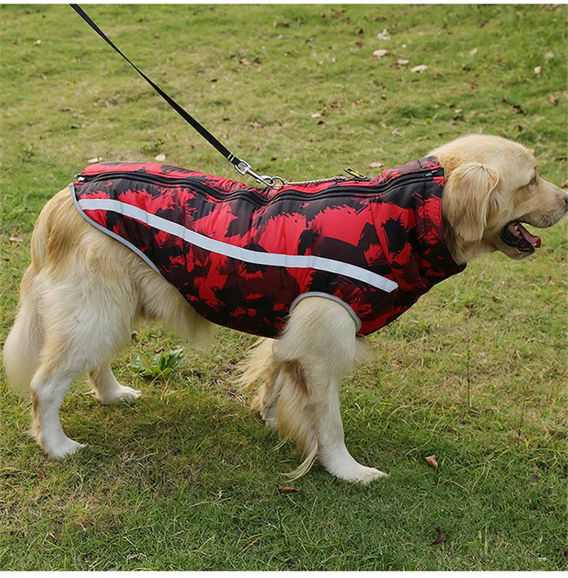 clothes for dogs (15)
