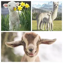 Картина из овечьей козы, альпаки, сделай сам, 5D, алмазная живопись, Полная площадь, для гостиной, декоративная картина с животными из мозической смолы, на заказ, рождественские подарки