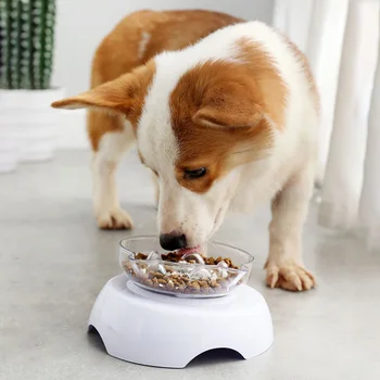 

Plastic Cat Bowl Neck Protection Pet Supplies Food Feeding Drinking Water Anti Suffocate With Raised Stand 15 Degree Tilt