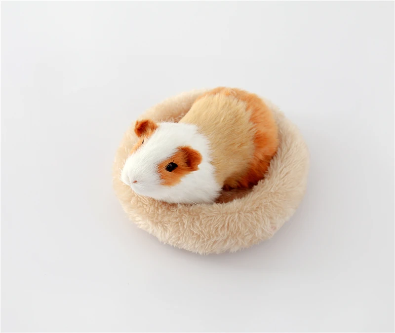 4298233785_1453749488