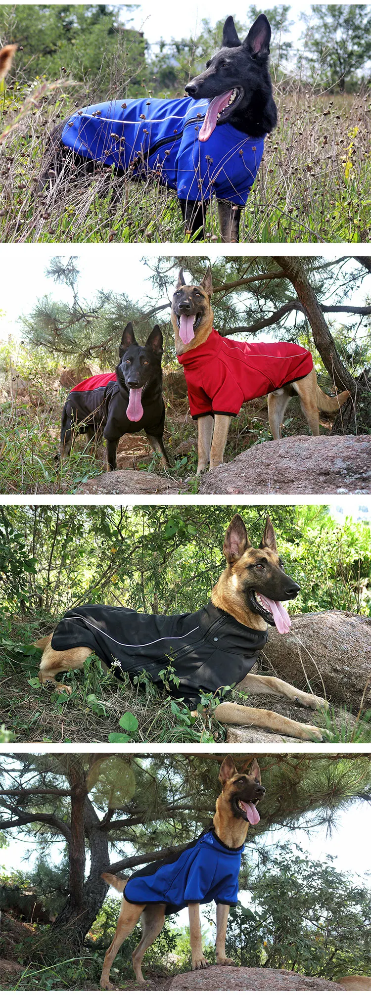 O1CN01GfkTgy1QkudCPtmtc_!!2340322015