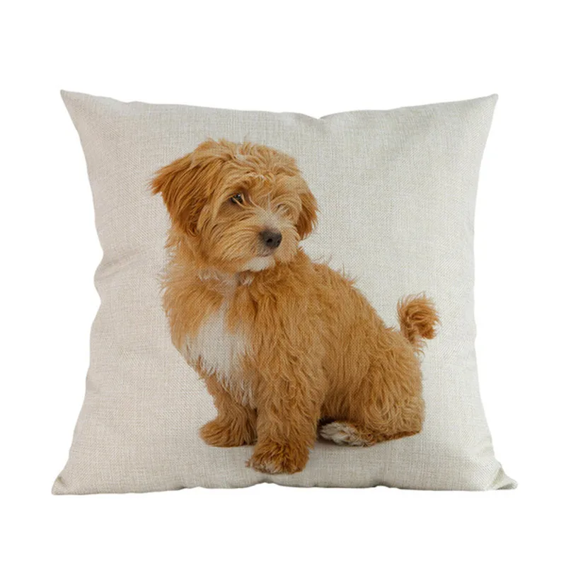 Cute-Puppy-Animal-Pet-Breed-Dogs-Dachshund-Corgi-Pomeranian-Shepherd-Labrador-Bulldog-Pillow-Case-Home-Shop.jpg_640x640 (11)