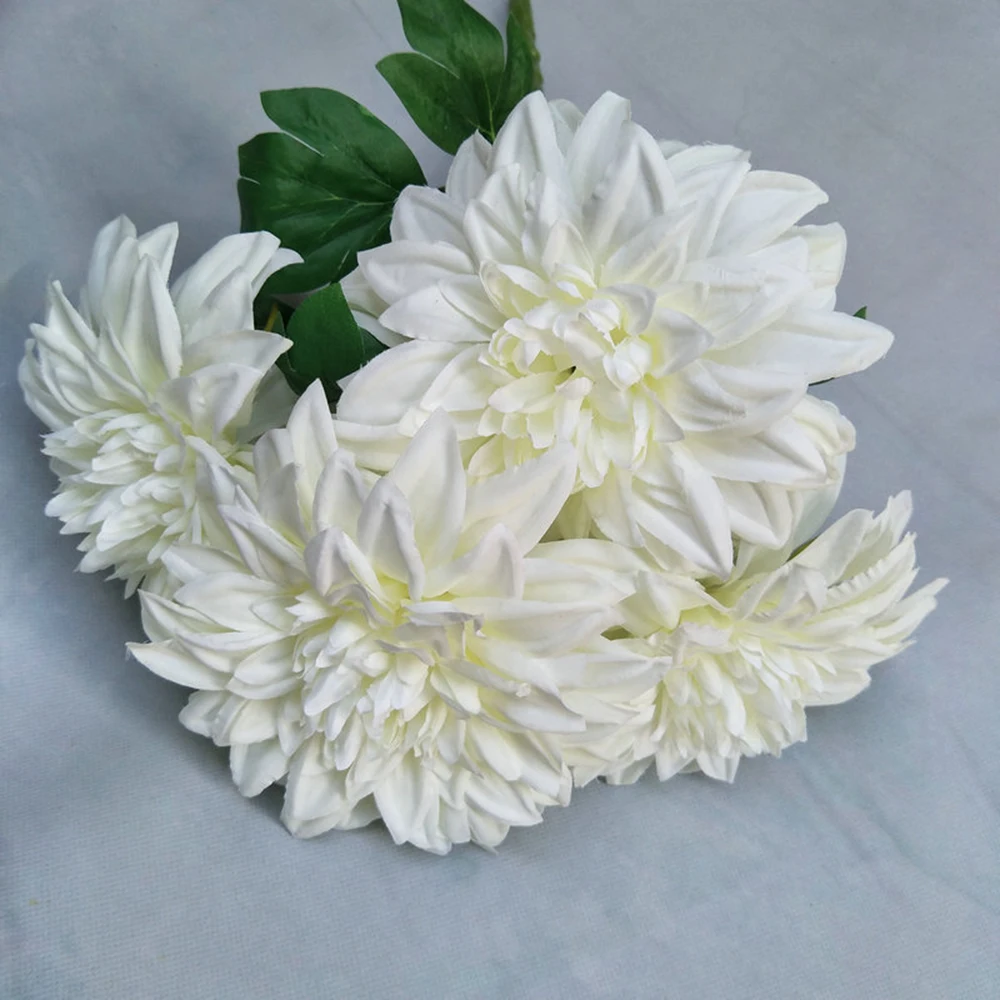 YYPA0057-YYPA0062-C4