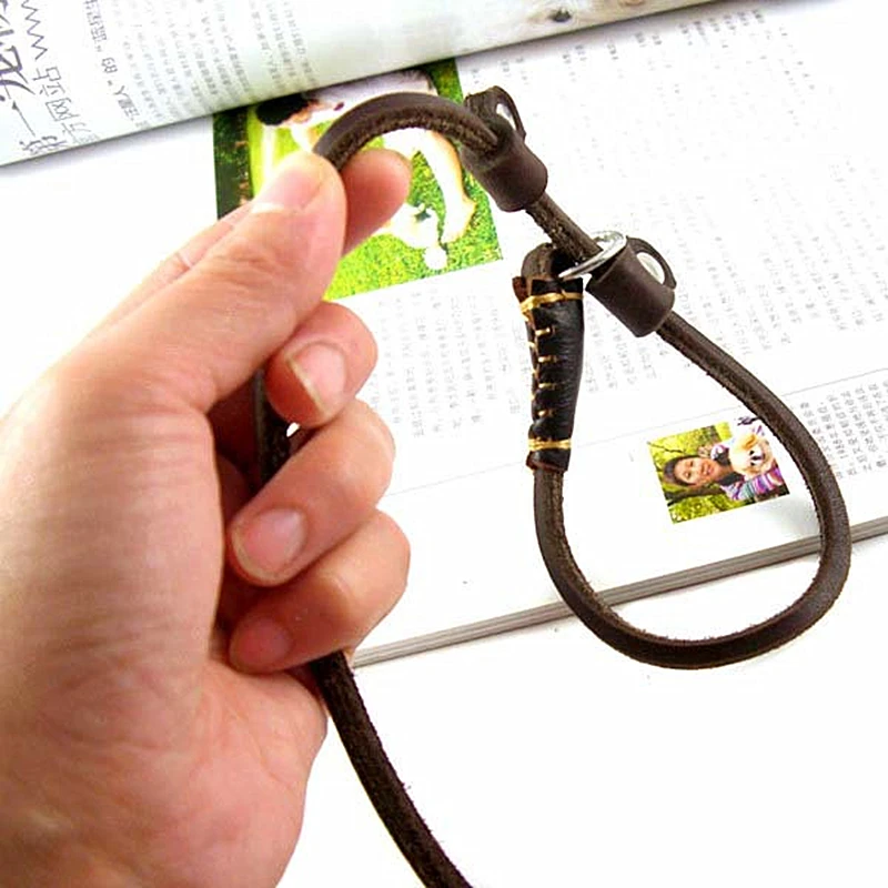 160cm Soft Extra Strong P chain Teddy Poodle Leash Double Handle Real Leather Braided Dog Leash Safety Training Pet Lead (1)