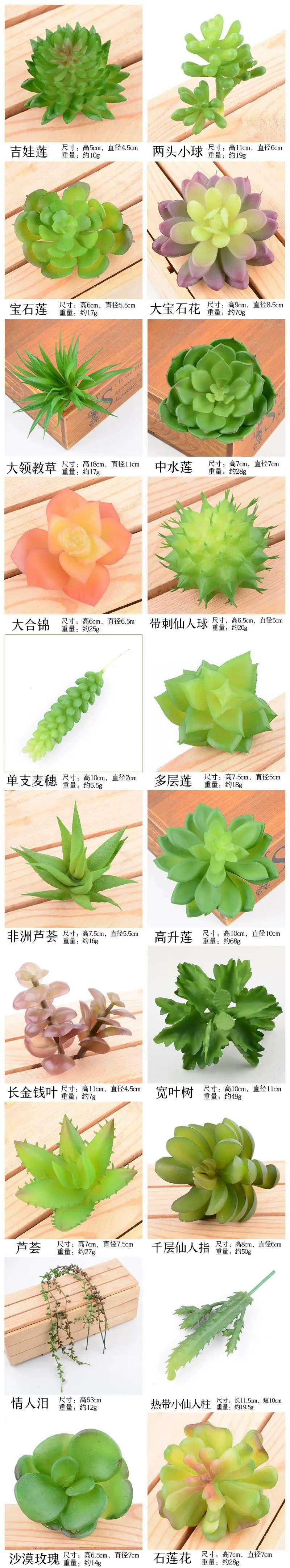 Details of fleshy flower head1