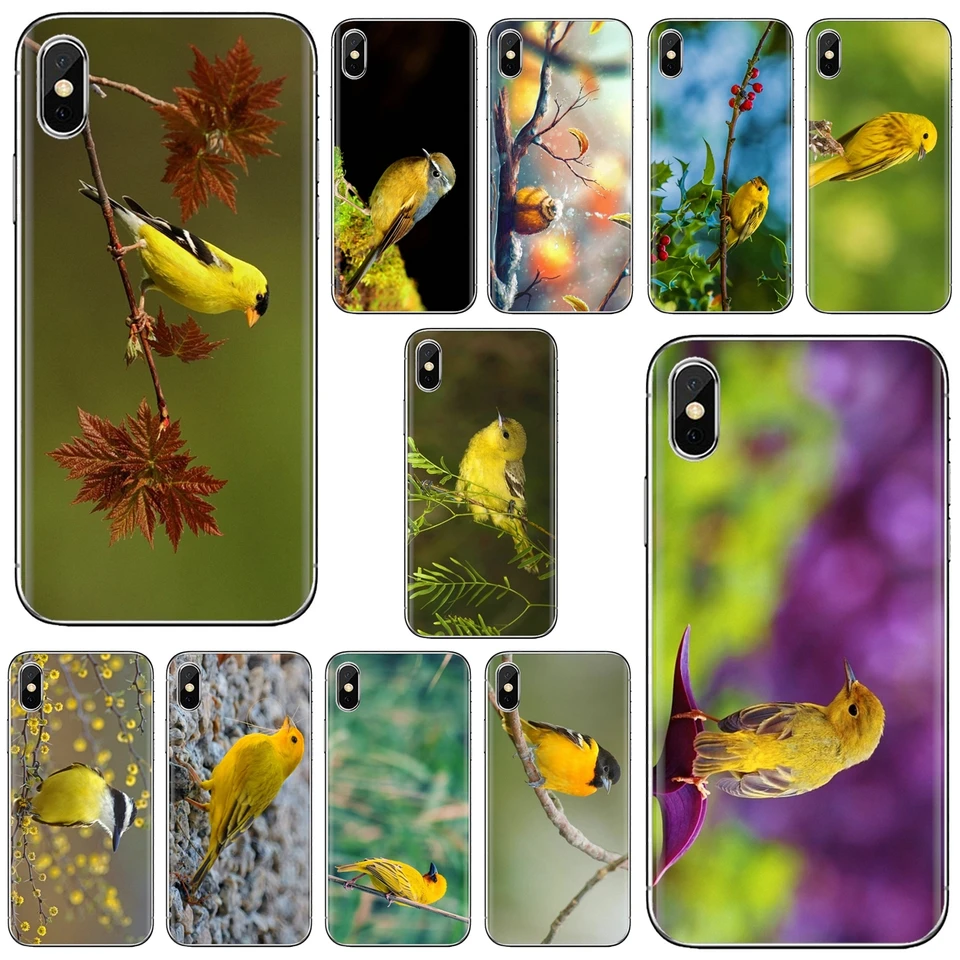 Hd Wallpaper In Mi Mobile