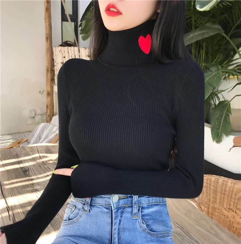 Autumn-Winter-Turtleneck-Sweater-Women-Long-Sleeve-Embroidery-Slim-Elasticity-Knitted-Women-Pullover-Sweater-2019-Ladies-Top (2)