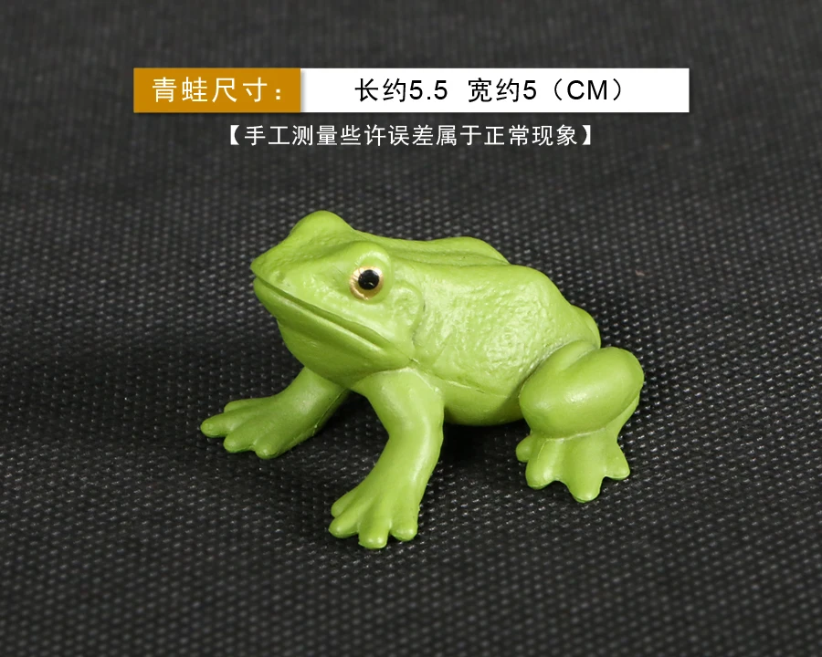 青蛙6