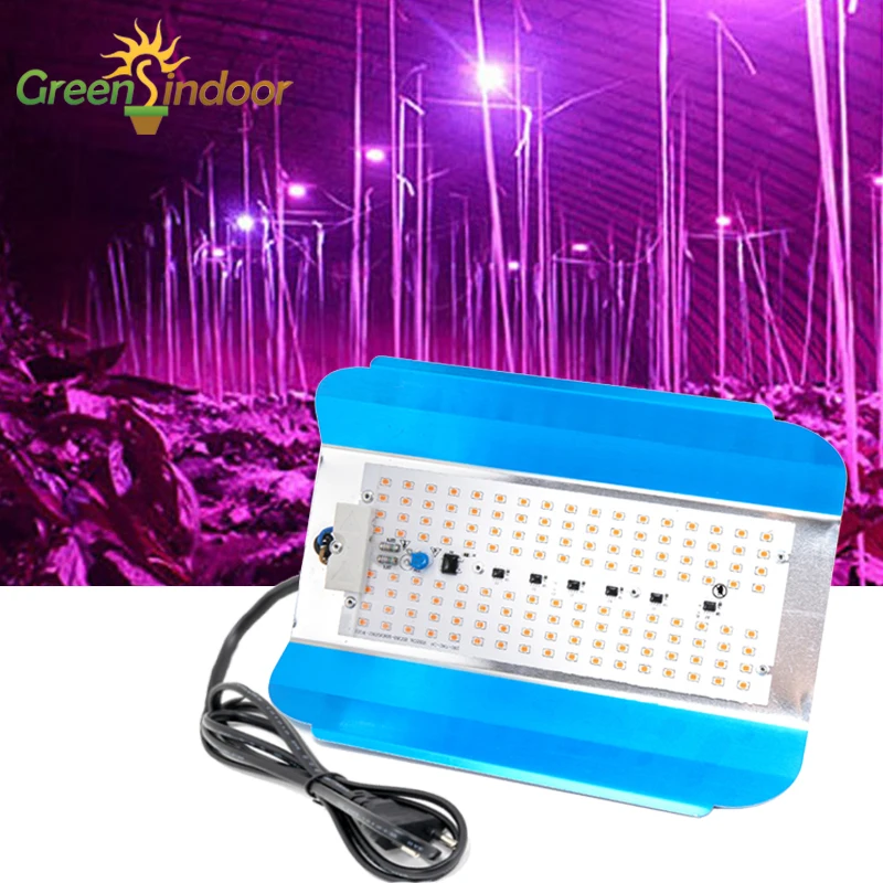 Indoor Phytolamp For Plants 50W 100W Led Grow Light For Greenhouse Plants Growing Hydroponic Phyto Lamp Led Spotlights With Plug