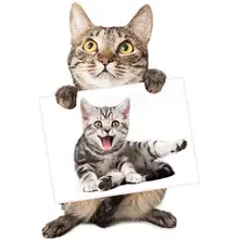 Fundaful 5D Сделай Сам Алмазная краска на заказ фото изготовление краски с бриллиантами вышивка полный квадратный/круглый Кристалл Бриллианты художественное ремесло