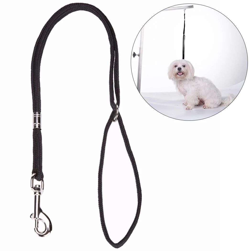 grooming table leash