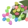 25/50pcs Mixcolor Luminous Stones in the Dark Glow Pebbles for Aquarium Garden Path Patio Lawn Home Glowing Stones Decoration ► Photo 3/6