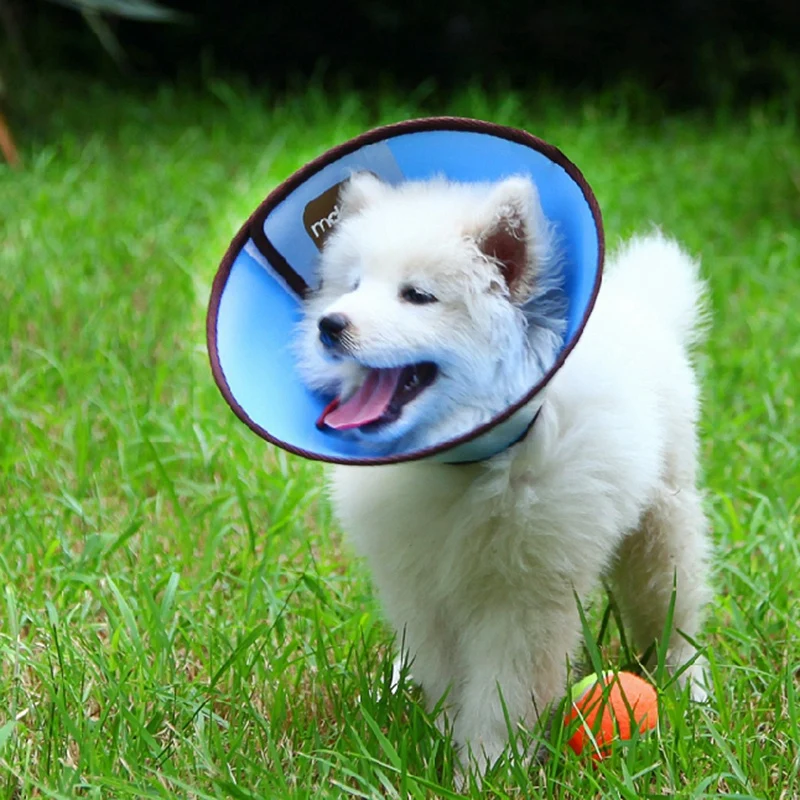 KIMPETS, защитный чехол для собак и кошек, заживляющий рану, защитный ошейник для домашних животных, медицинский смарт-ошейник для предотвращения укуса