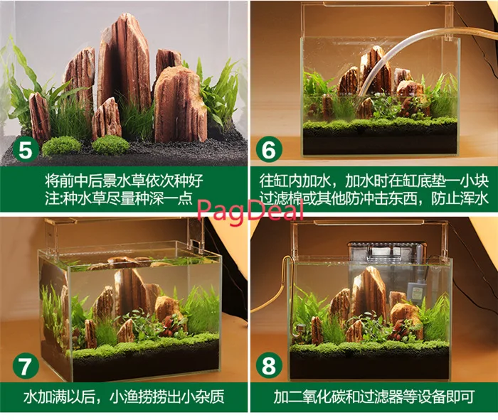 Fern Substrate08