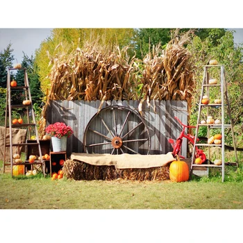 

Autumn Farm Barn Harvest Pumpkin Field Hay Block Newborn Baby Portrait Backdrop Vinyl Photography Background For Photo Studio