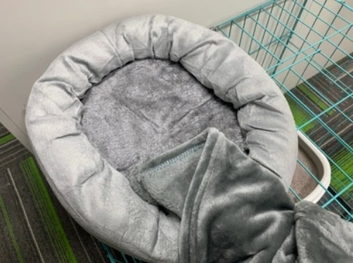 Customer photo