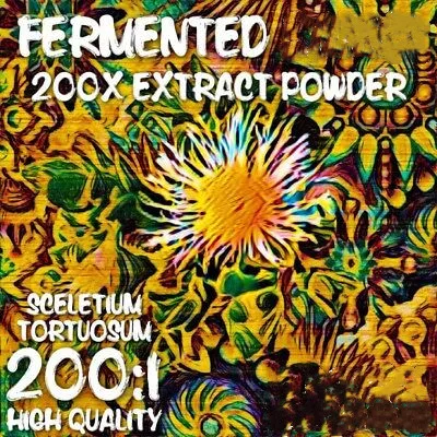 

Fermented Kanna (Sceletium tortuosum) 200x Extract Powder [5 Grams-10 Grams]
