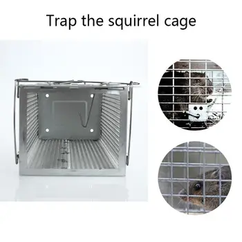 

Practical Mouse Catcher Rat Killer Cage Steel Mesh Portable Hamster Rat Cage Durable Catch Bait Bond Silver Mouse Trap Tools
