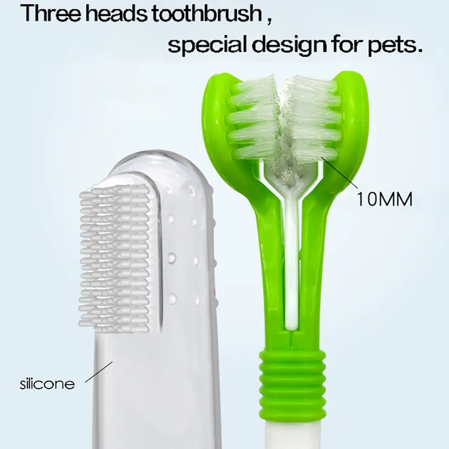 Unleash a Healthy Smile with the Three Sided Dog Toothbrush