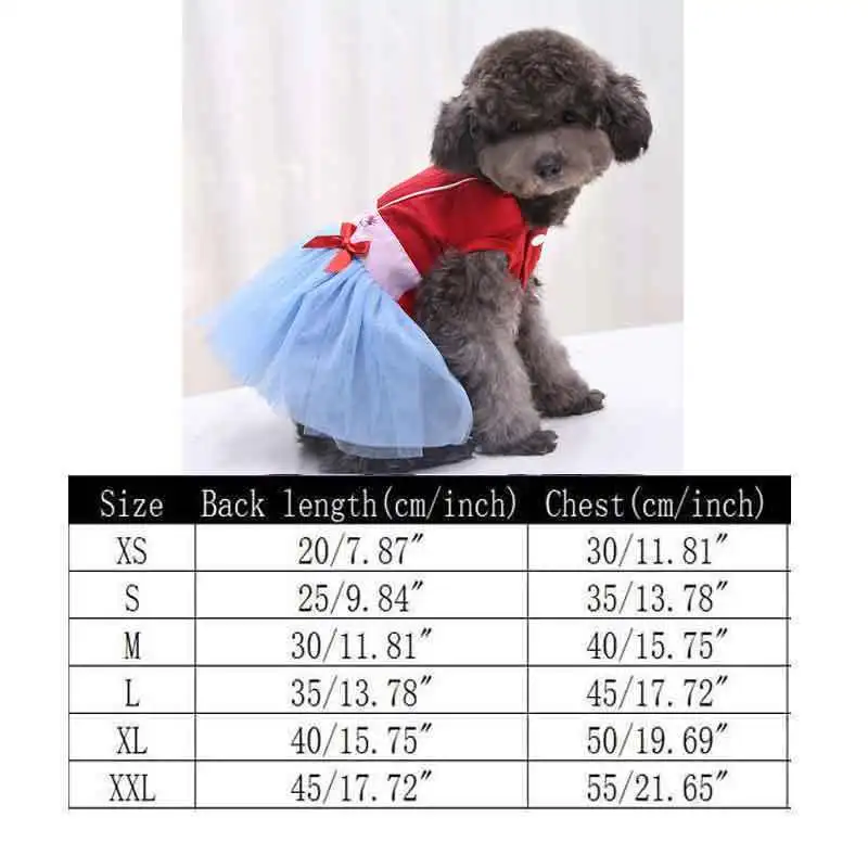 ropa chihuahua.jpg