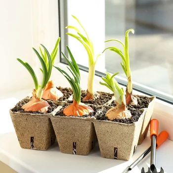 

100 Pcs Seed Starter Pulp Pots Kit for Garden Seedling Tray Germination Seedling Trays 20 Plastic Plant Markers Included