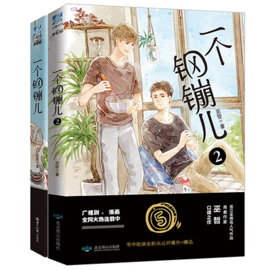 

2 Books New A Coin Novel Book Wu Zhe Works Youth Literature Adult Love Network Novels Fiction Book