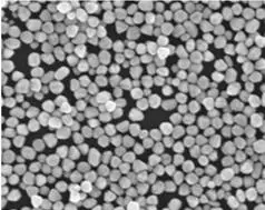 

Nucleic acid extraction silicic acid magnetic beads