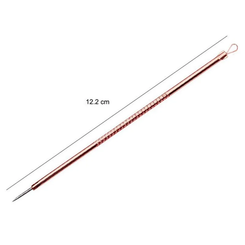 4 Pcs Anti-Bacterial Double-sided Needle Stainless Steel Blemish Blackhead Remover Tool