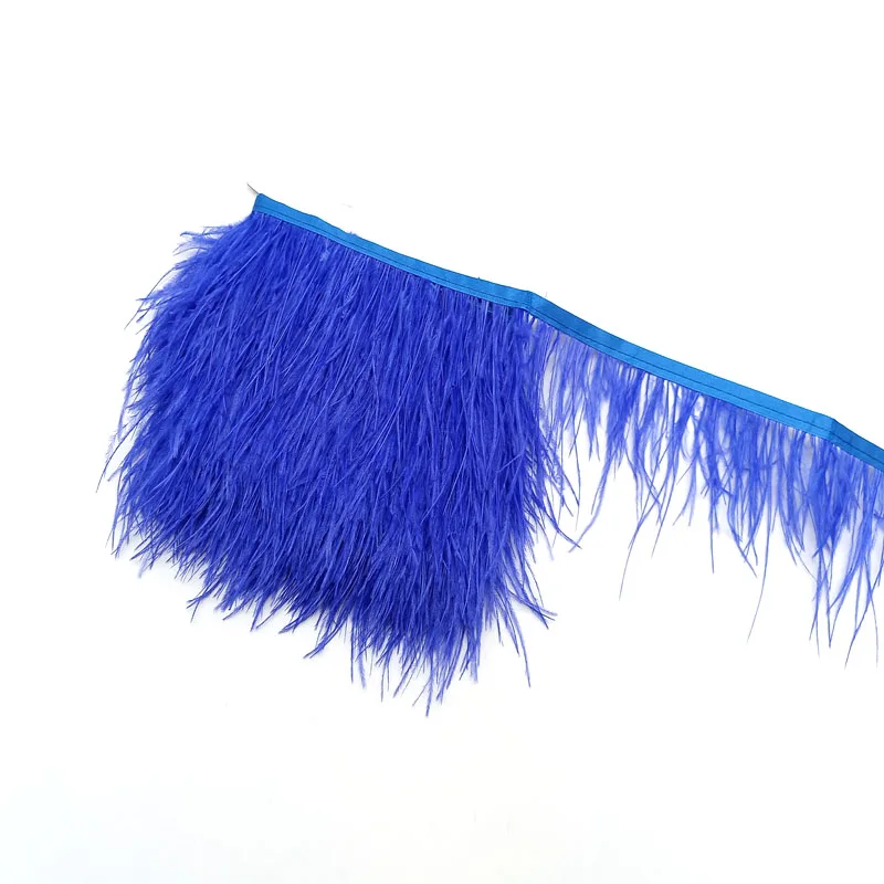 Royal Blue feathers