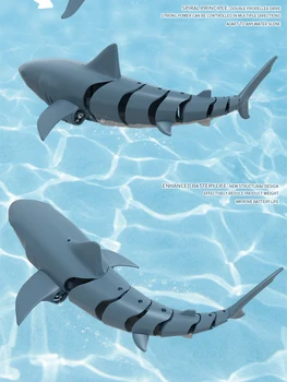 rc shark