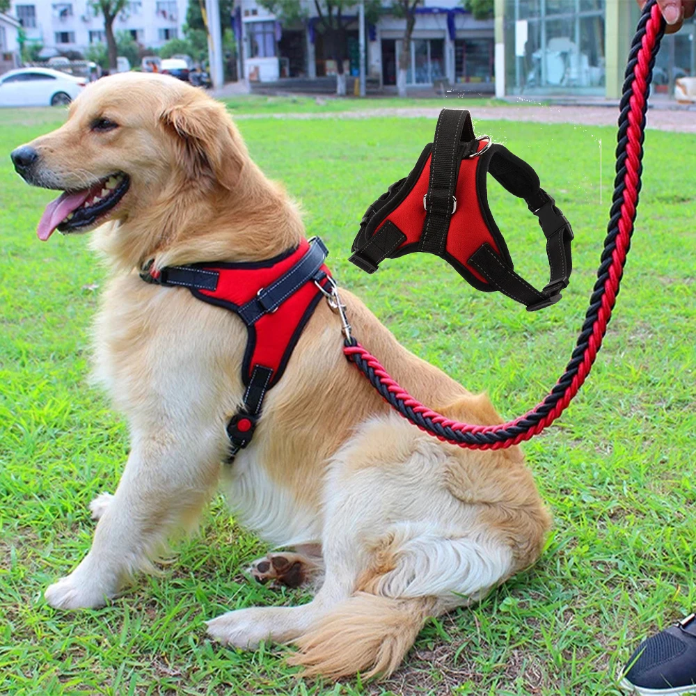 arnés duradero con correa para perro, Collar grande para mascotas, accesorios para Labrador, Collie, correa para mascotas, suministros perros|Arneses| - AliExpress