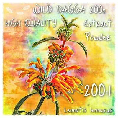 

Wild Dagga (Leonotis Leonurus) 200x Extract Powder [5 Grams-10 Grams]
