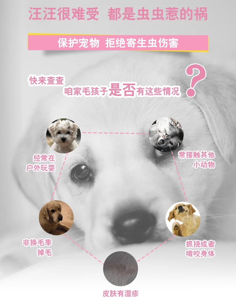 Насекомых препараты актуальные для собак Косплей Shiba «Лисья Секретная служба»(Inu собака наводнения средней длины в лабораторных условиях капли ПЭТ клещей жидкости кожных заболеваний тик