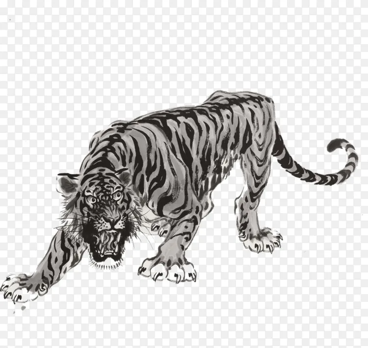 虎水墨画挂卷画 老虎png图片素材免费下载 图片编号 Png素材网